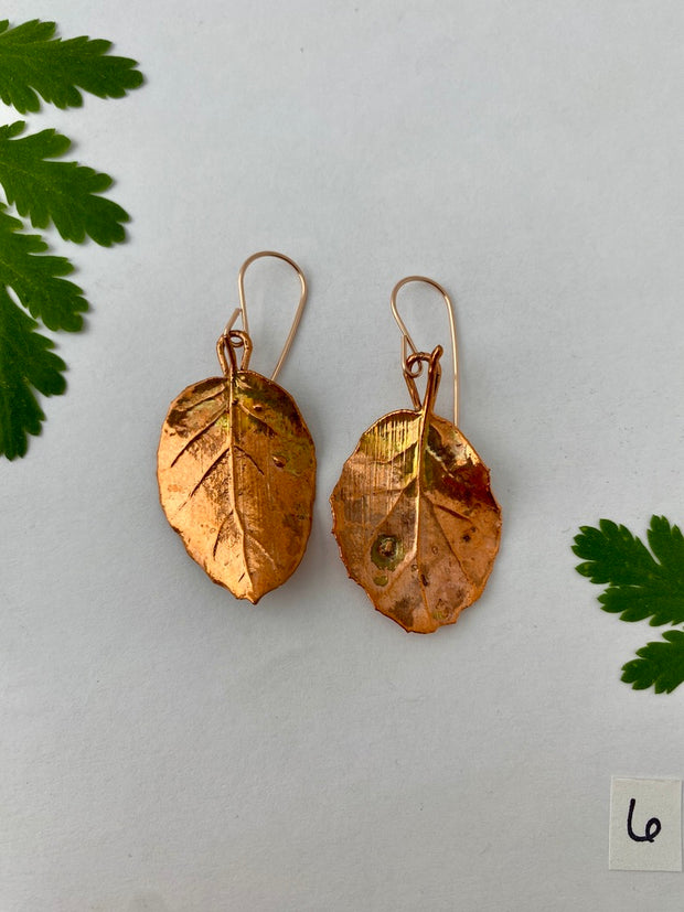 recycled copper electroformed oak leaf earrings valley oak coast oak live oat garry oak rose gold simple wealth art made in usa