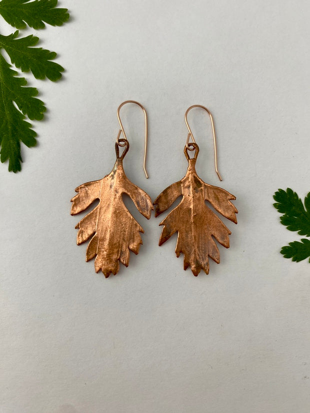 Real matilija poppy leaves electroplated in recycled copper 14 karat rose gold made in usa handmade simple wealth art