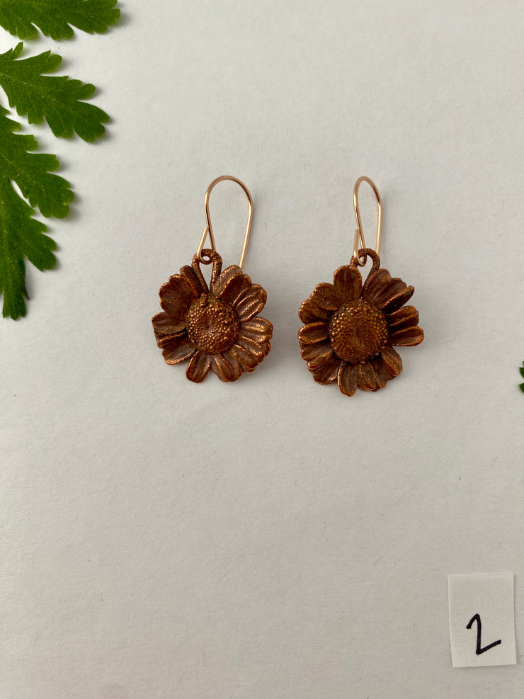 electroformed real daisy flowers recycled copper feverfew earrings simple wealth art made in usa