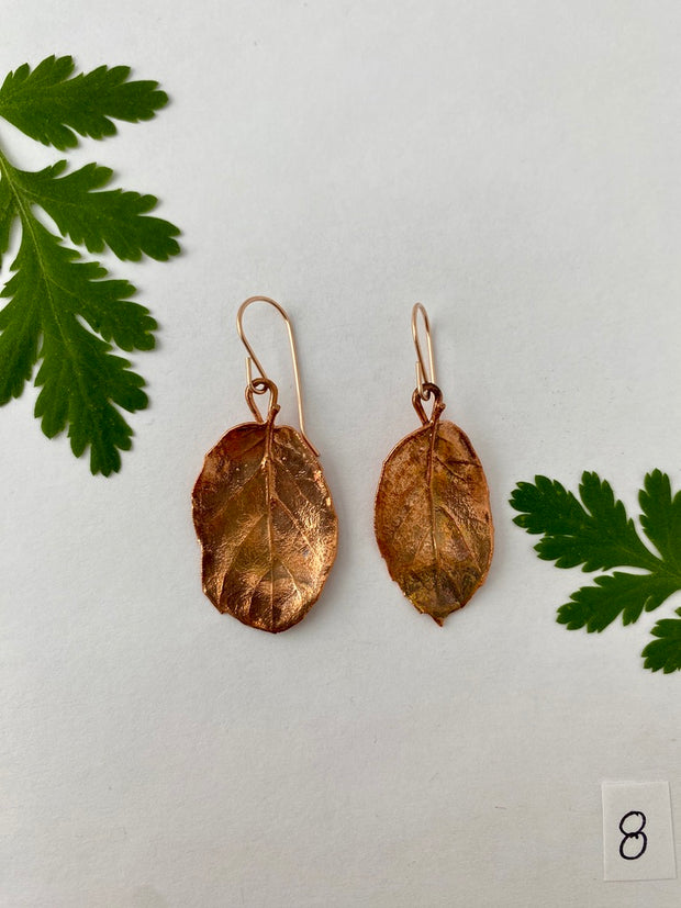 recycled copper electroformed oak leaf earrings valley oak coast oak live oat garry oak rose gold simple wealth art made in usa