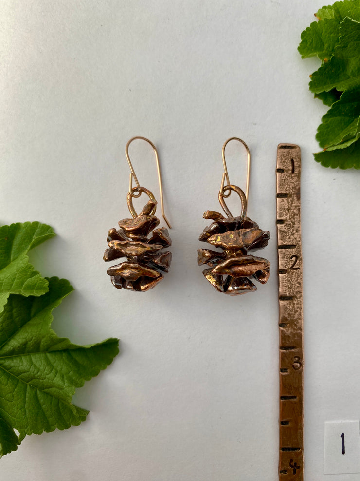 Redwood Cone Earrings