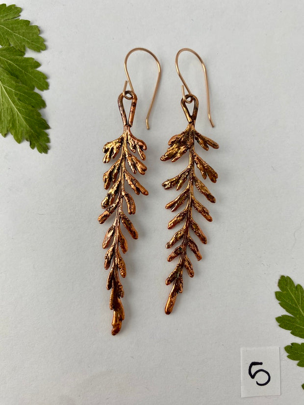 Mother Fern Earrings