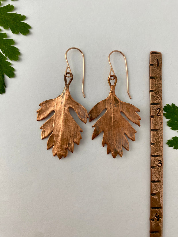 Real matilija poppy leaves electroplated in recycled copper 14 karat rose gold made in usa handmade simple wealth art