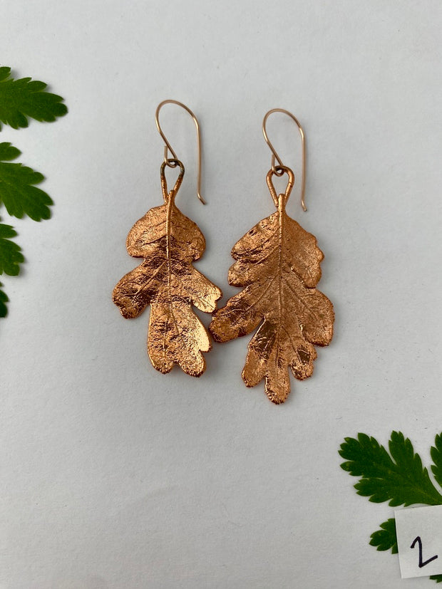 recycled copper electroformed oak leaf earrings valley oak coast oak live oat garry oak rose gold simple wealth art made in usa