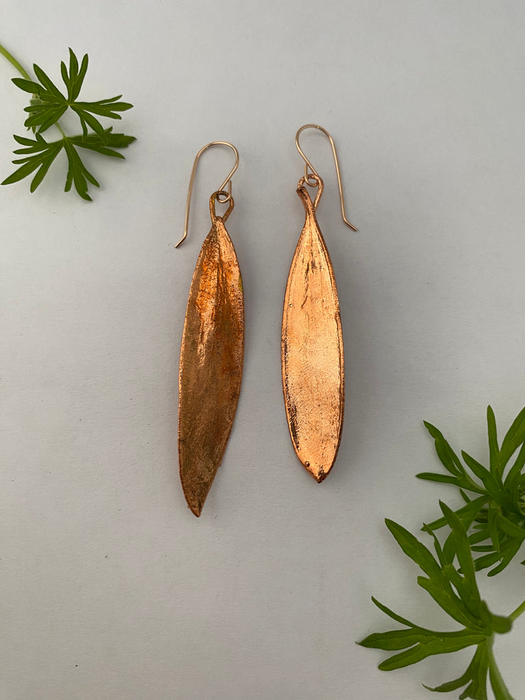 Paper bark Eucalyptus Earrings