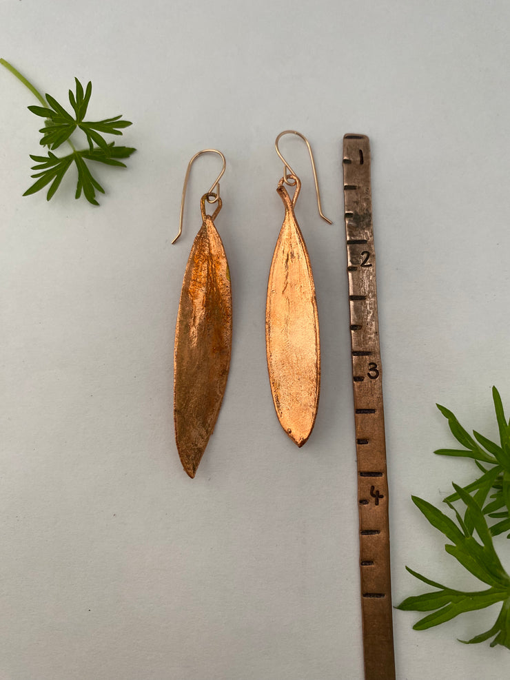 Paper bark Eucalyptus Earrings