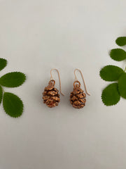 Redwood Cone Earrings