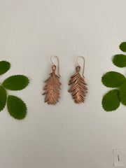 recycled copper electroformed redwood leaf 14 karat gold earrings simple wealth art made in usa