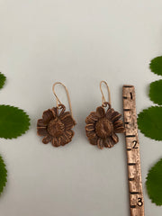 electroformed real daisy flowers recycled copper feverfew earrings simple wealth art made in usa