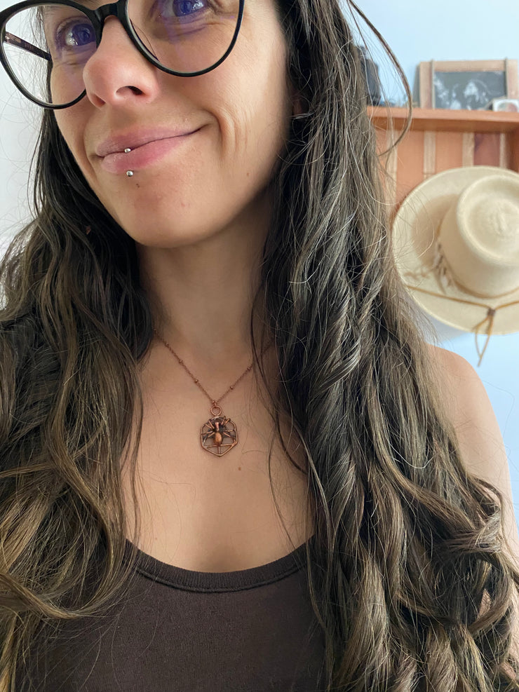 Bug Collection – Simple Wealth