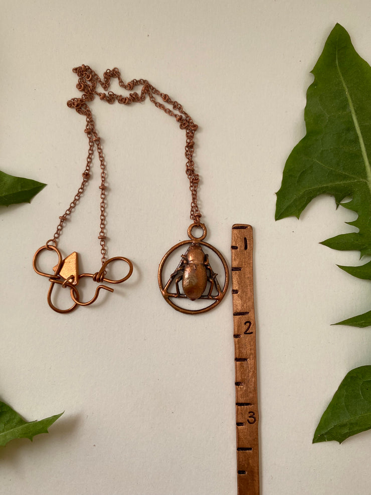 Bug Collection – Simple Wealth