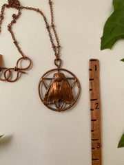 Electroplated real bugs recycled copper garden spider moth beetle bug jewelry copper bugs necklace made in usa simple wealth art